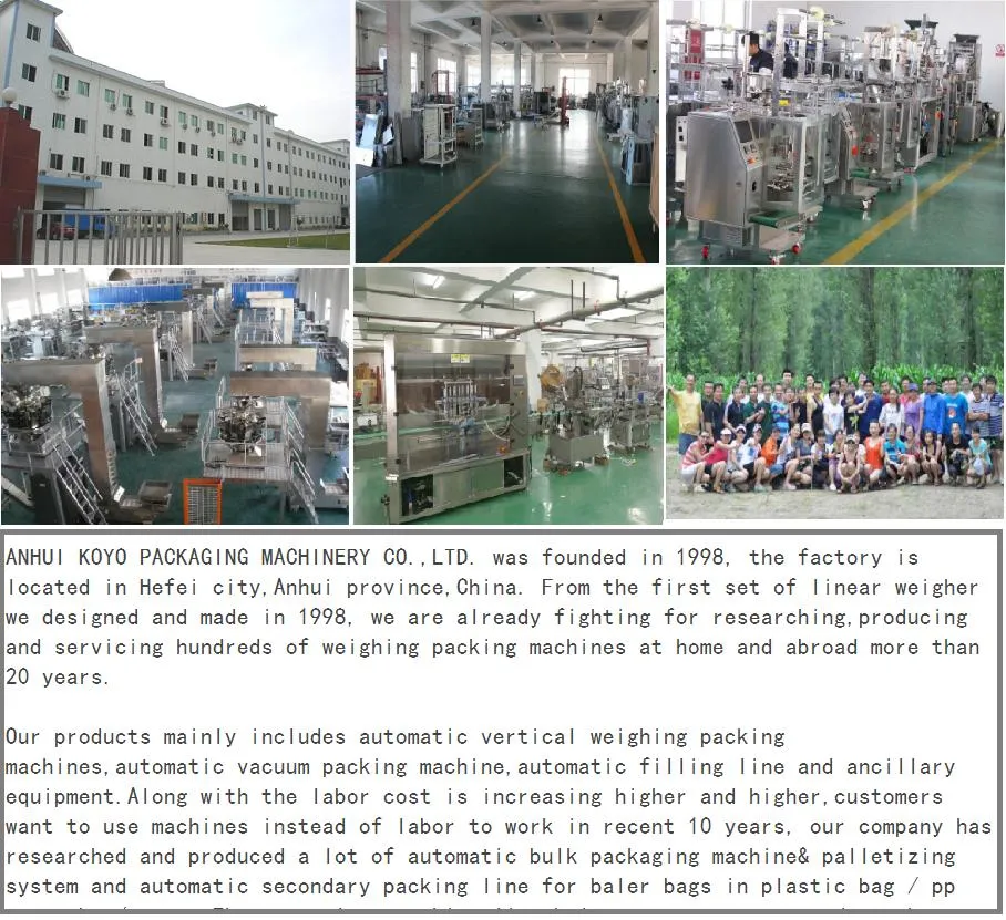 25kg Big Bag Filling Packing Machine Fertilizer/Sandy Soil Compost Bagger Packaging Machine with Servo Linear Weigher