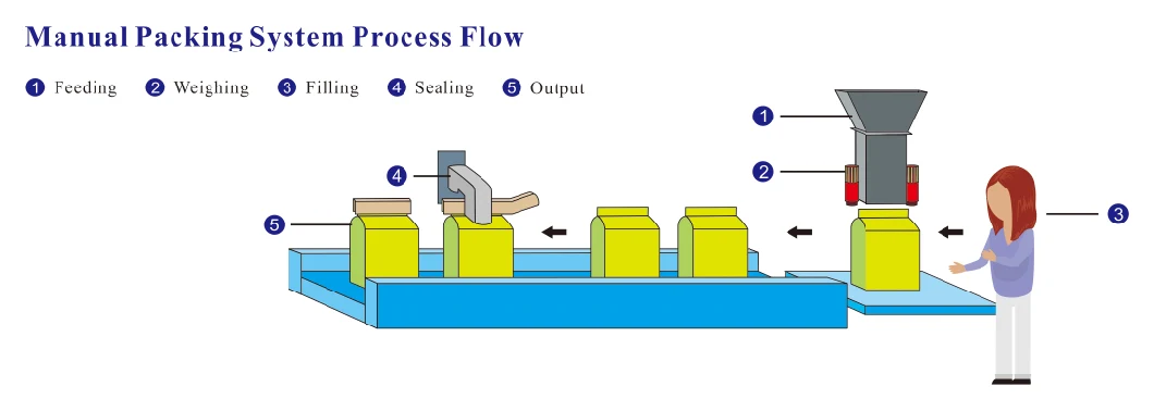 Jw-B20 Semi Automatic Linear Weigher Packing Machine with Single Bucket